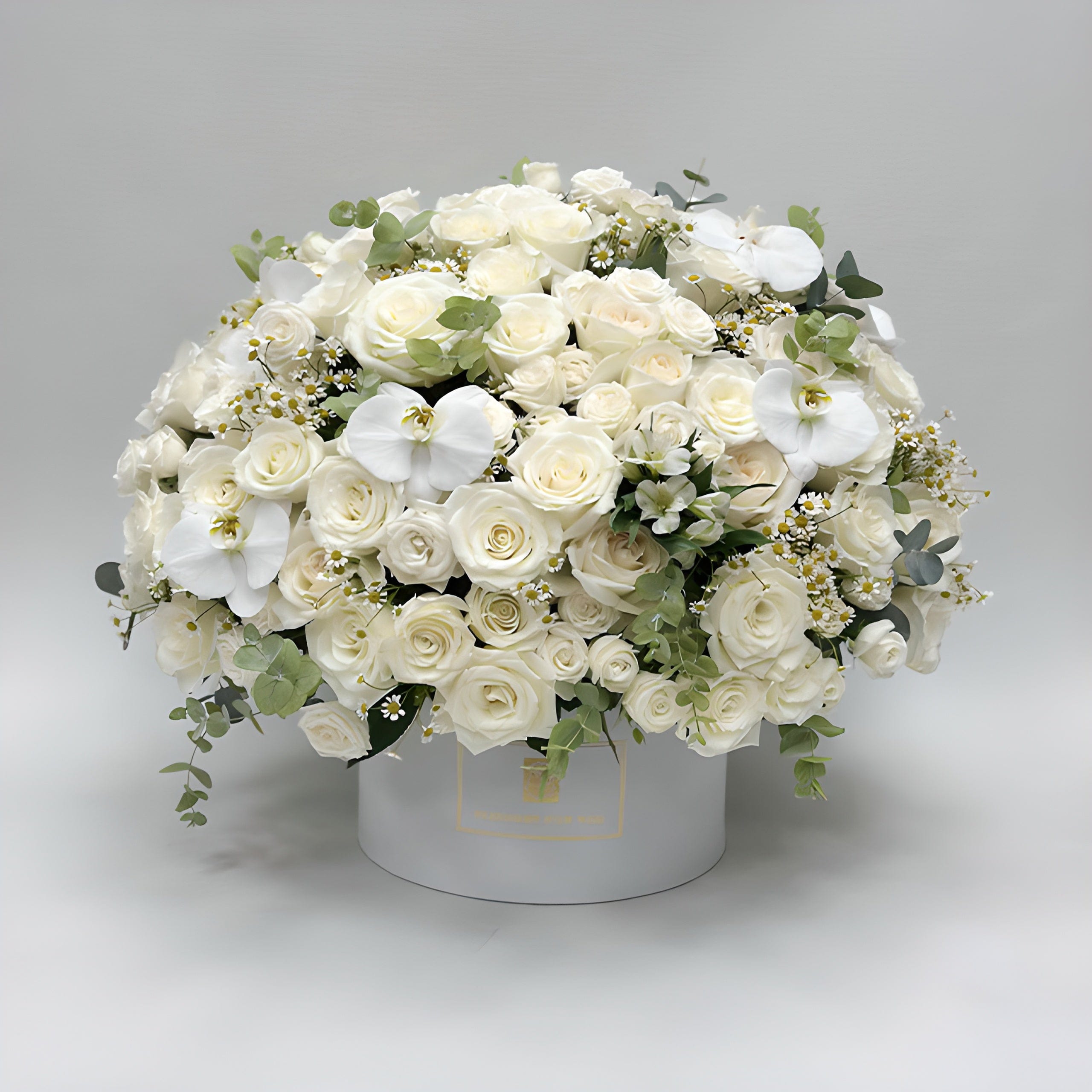 JENEEN FLOWERS flowers bright white flowers