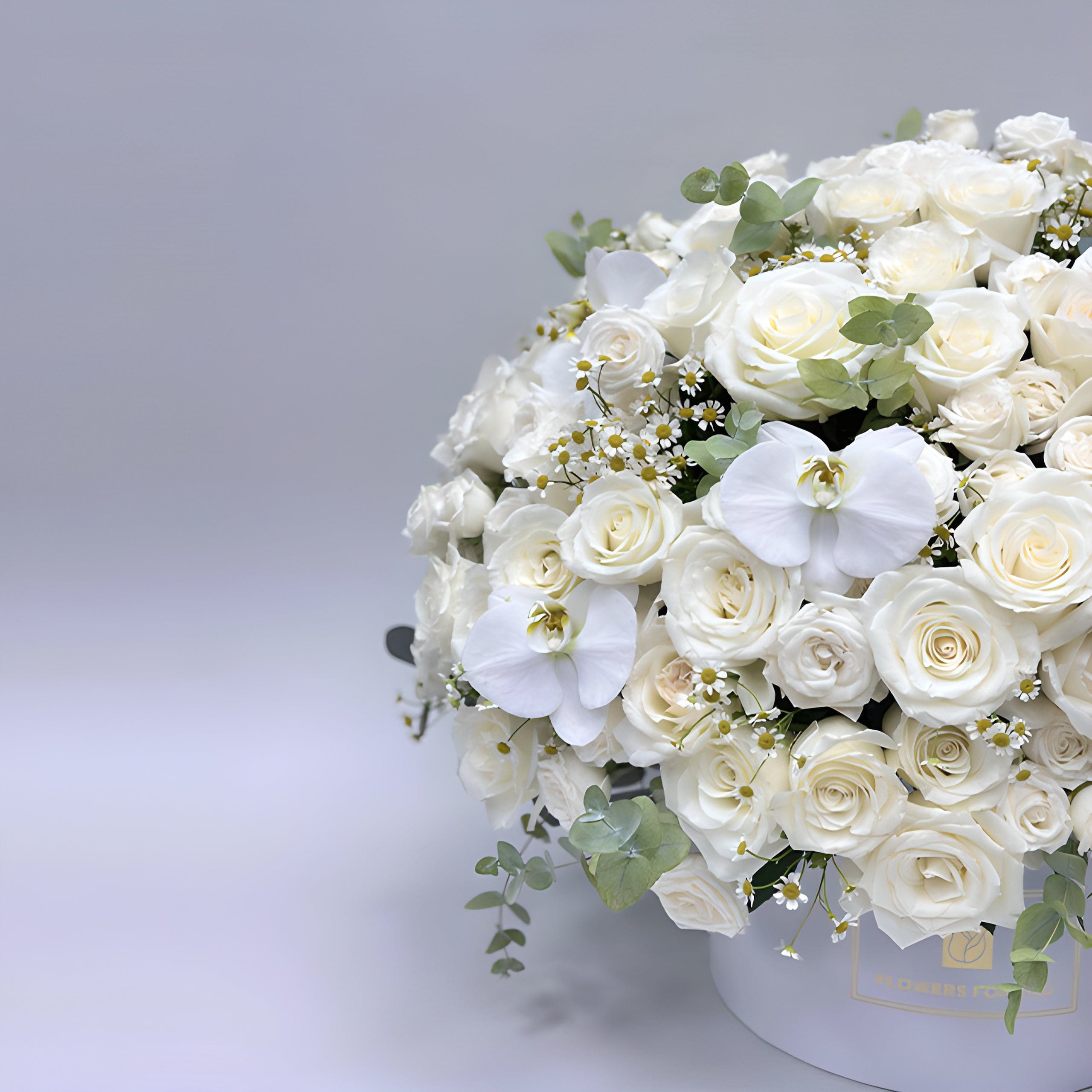 JENEEN FLOWERS flowers bright white flowers