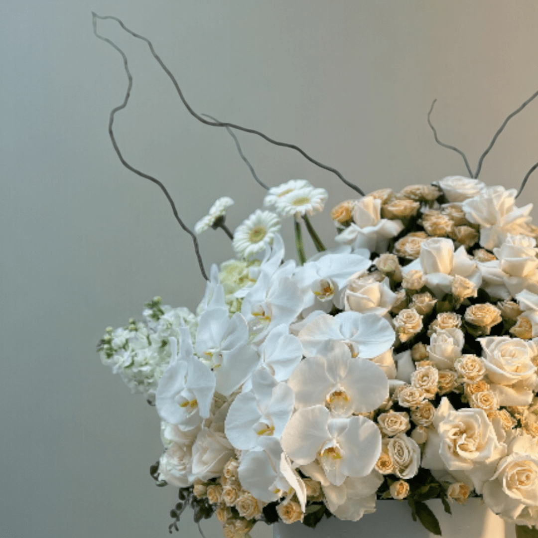 JENEEN FLOWERS FLOWERS VASE SILEX ORCHED