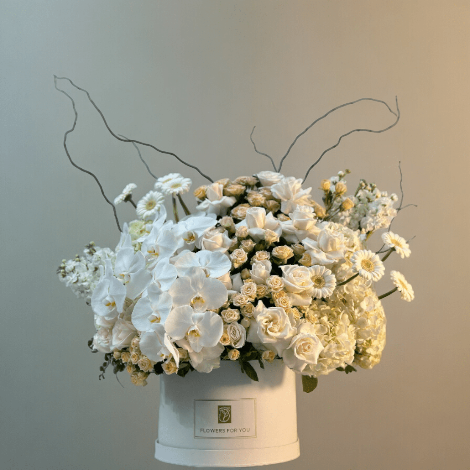 JENEEN FLOWERS FLOWERS VASE SILEX ORCHED