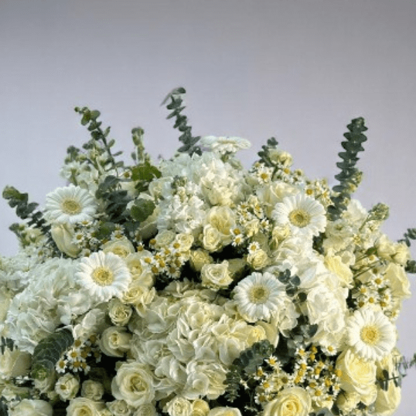 JENEEN FLOWERS flowers WHITE HYDRANGEA