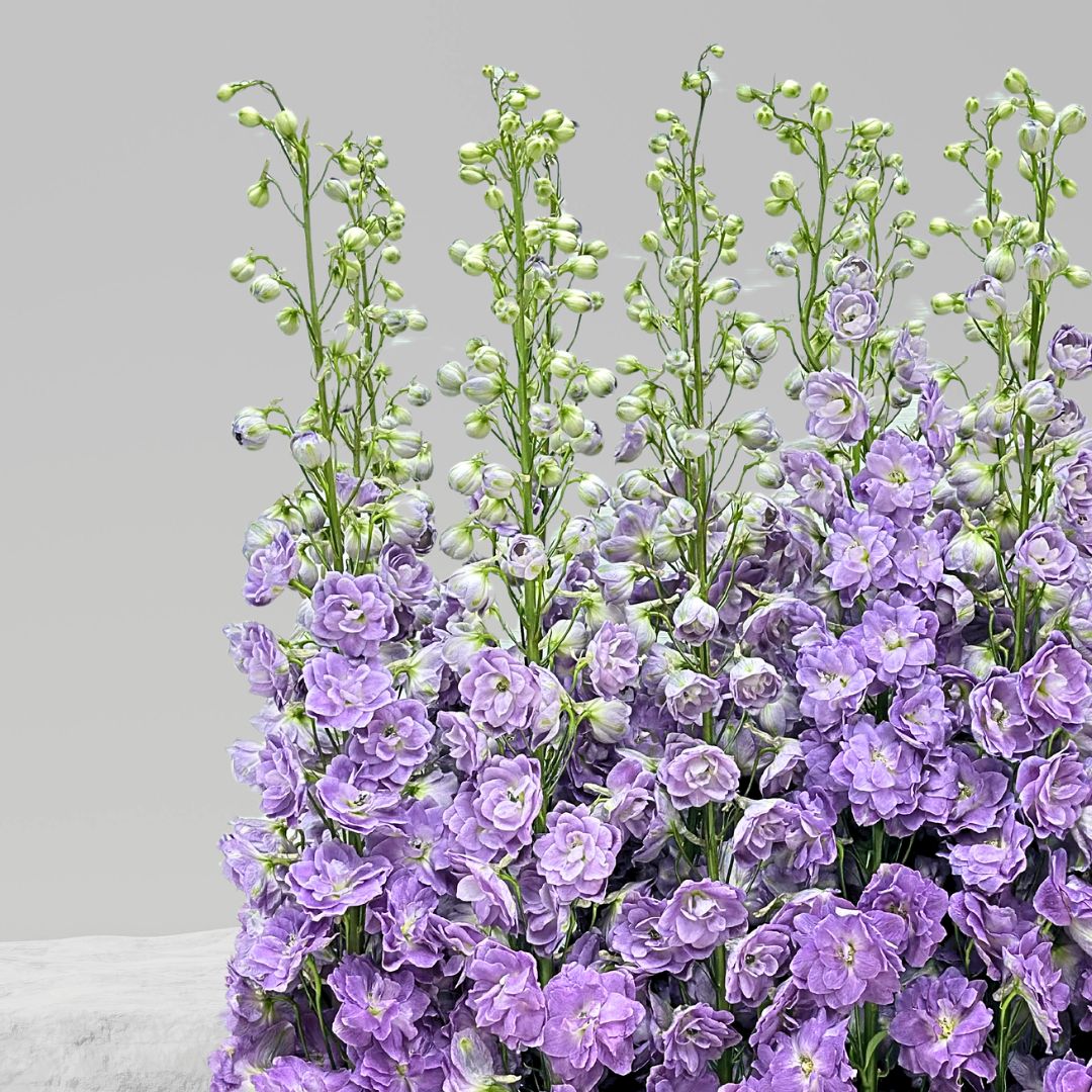 JENEEN FLOWERS PURPUL DELPHINIUM