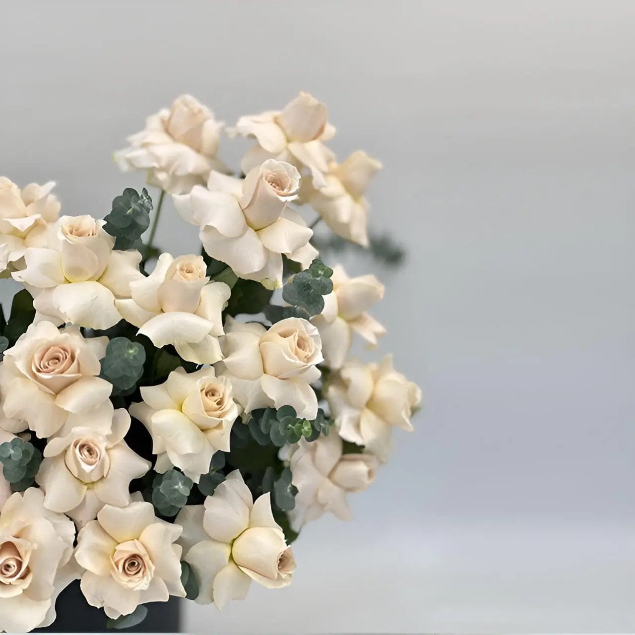 JENEEN FLOWERS Quick Sun Cappuccino