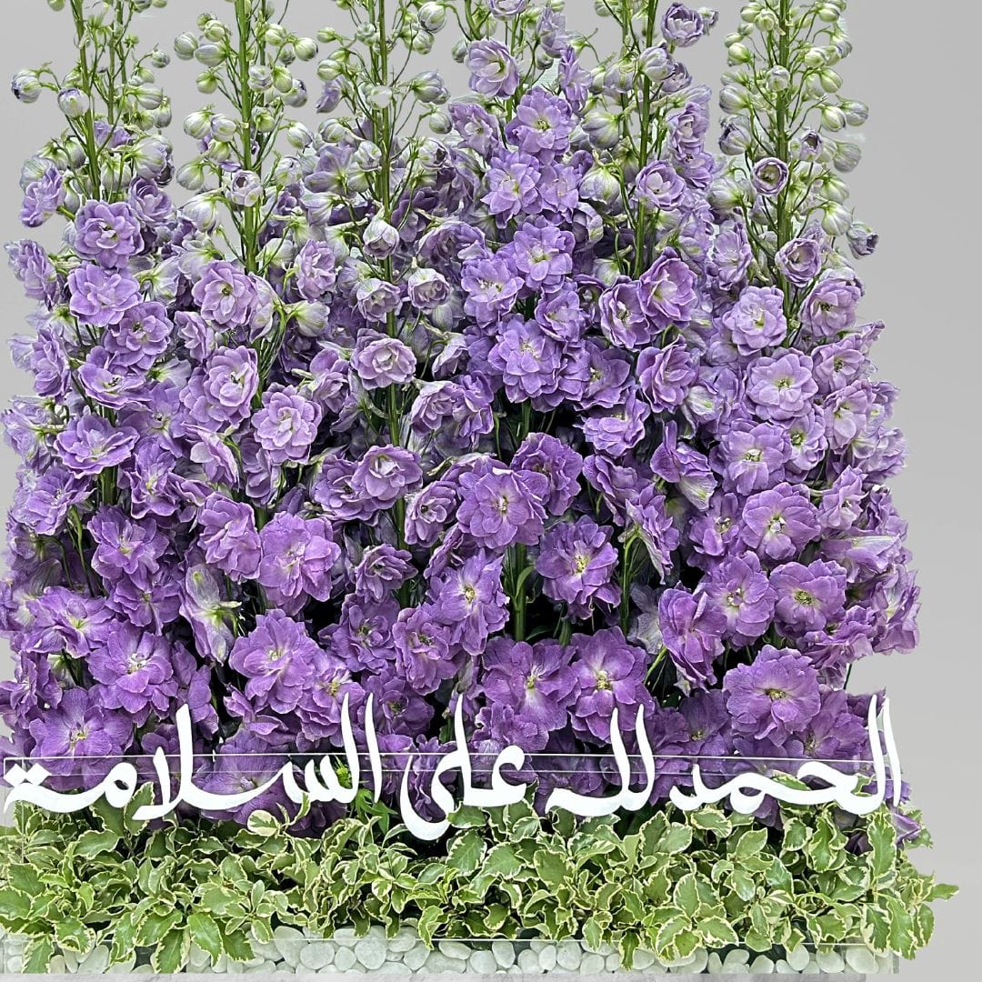 JENEEN FLOWERS The charming purple color