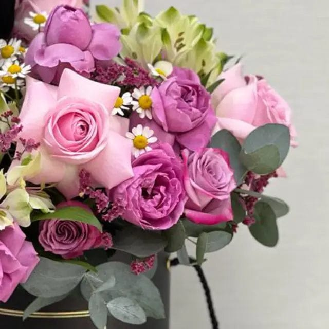 JENEEN FLOWERS Ville Box graduated